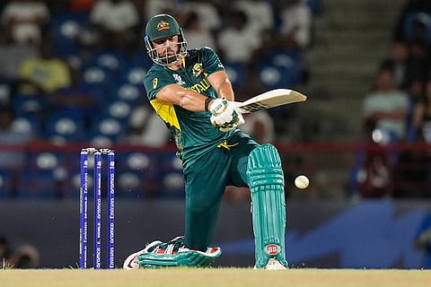 Tim David bats against Scotland